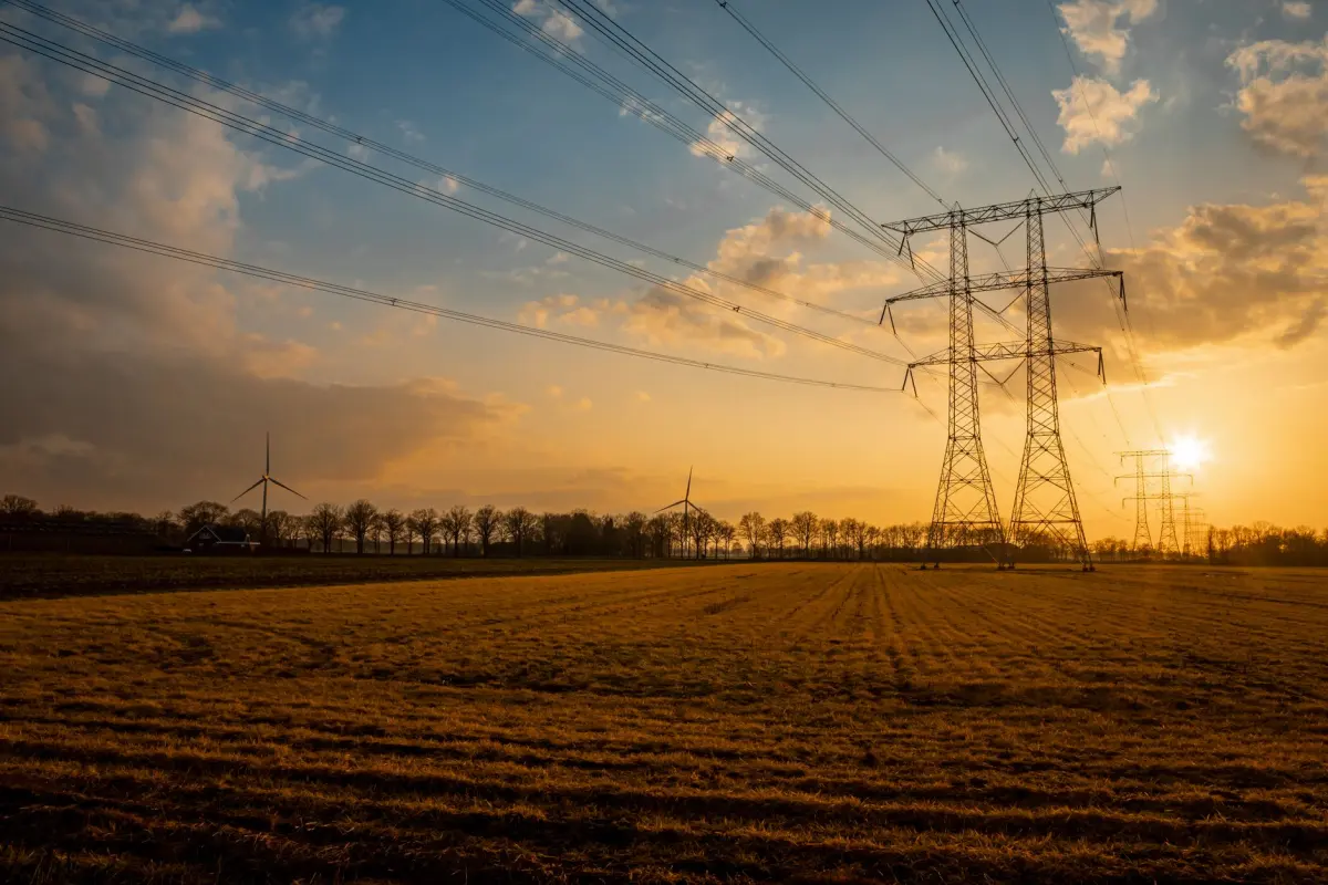 Stroomstoring Dieren 2026: oorzaak, hersteltijd &