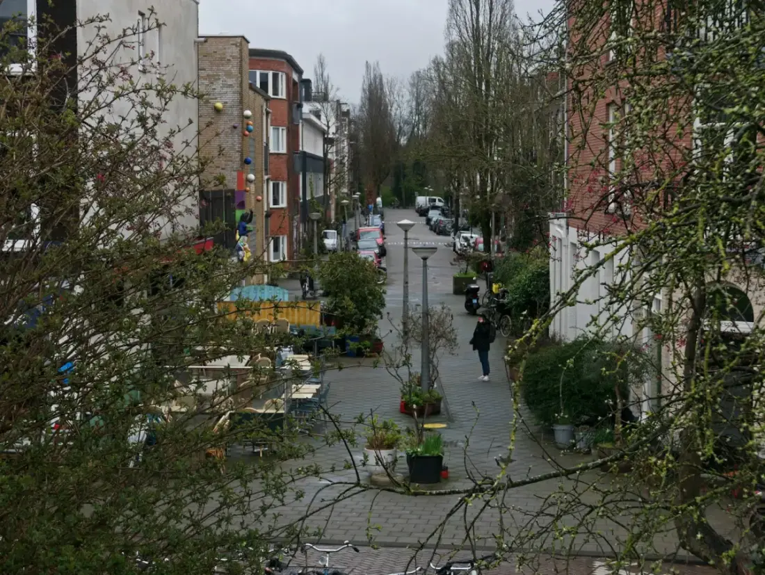 Stroomstoring Wijchen Blauwe Hof: oorzaak & patroon