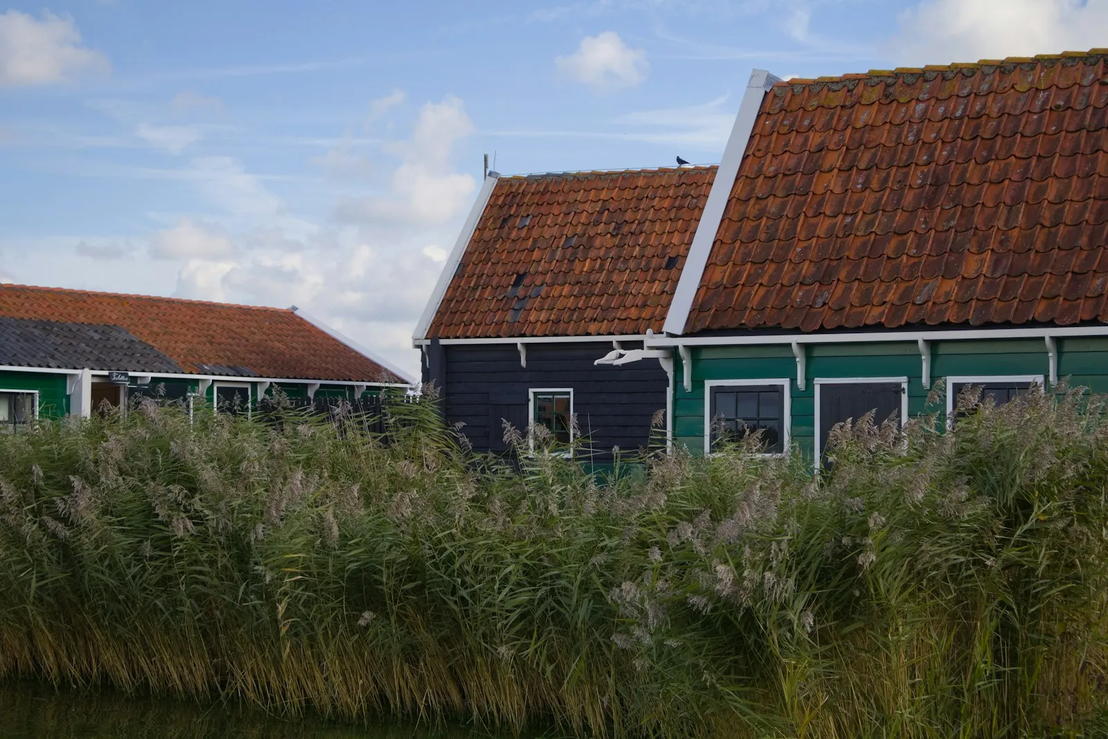 Stroomstoringen in Gelderse dorpen: oorzaken en aanpak